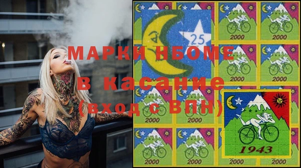 крисы Абаза