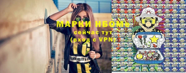 крисы Абаза
