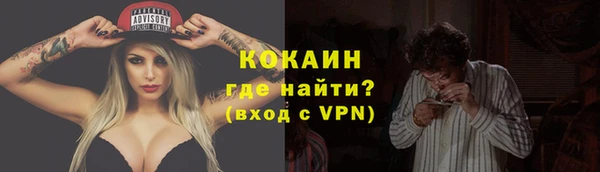 крисы Абаза