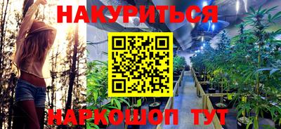 а пвп мука Ачхой-Мартан