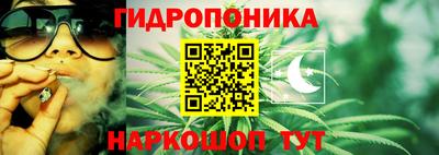 а пвп мука Ачхой-Мартан