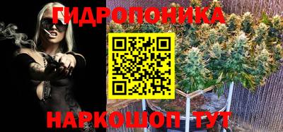 каннабис Баксан
