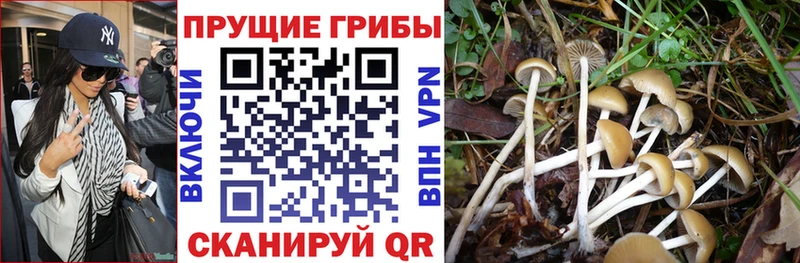 Галлюциногенные грибы GOLDEN TEACHER  где продают наркотики  Белая Калитва 