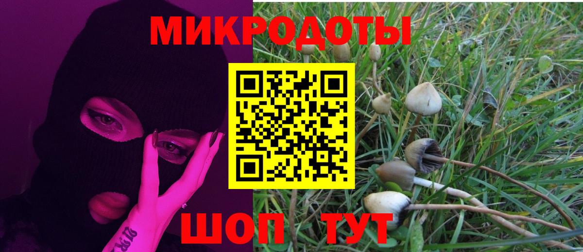 Псилоцибиновые грибы Cubensis Белая Калитва