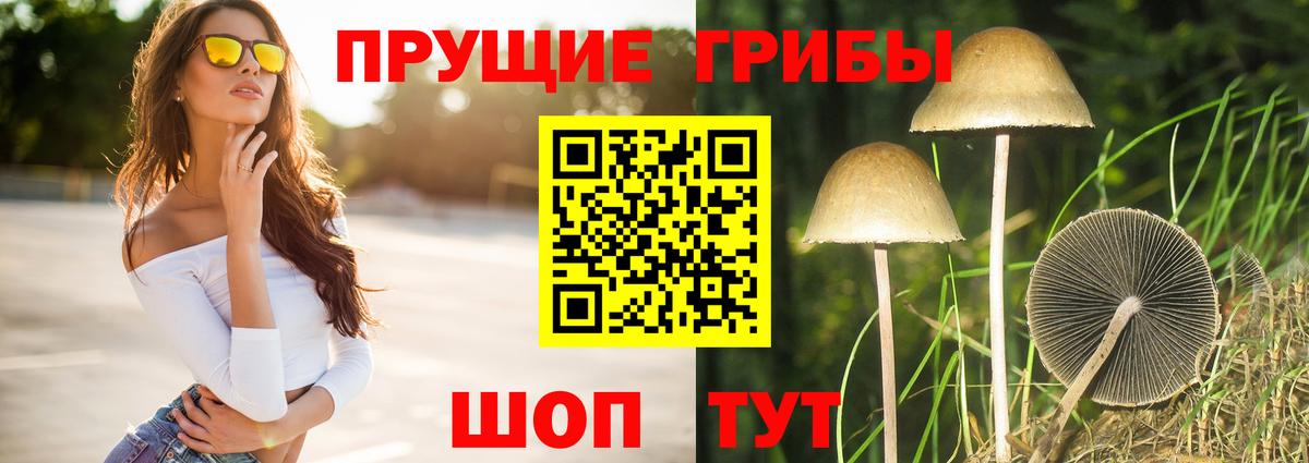 Псилоцибиновые грибы мицелий  Галлюциногенные грибы Cubensis  Белая Калитва  Вход с VPN 